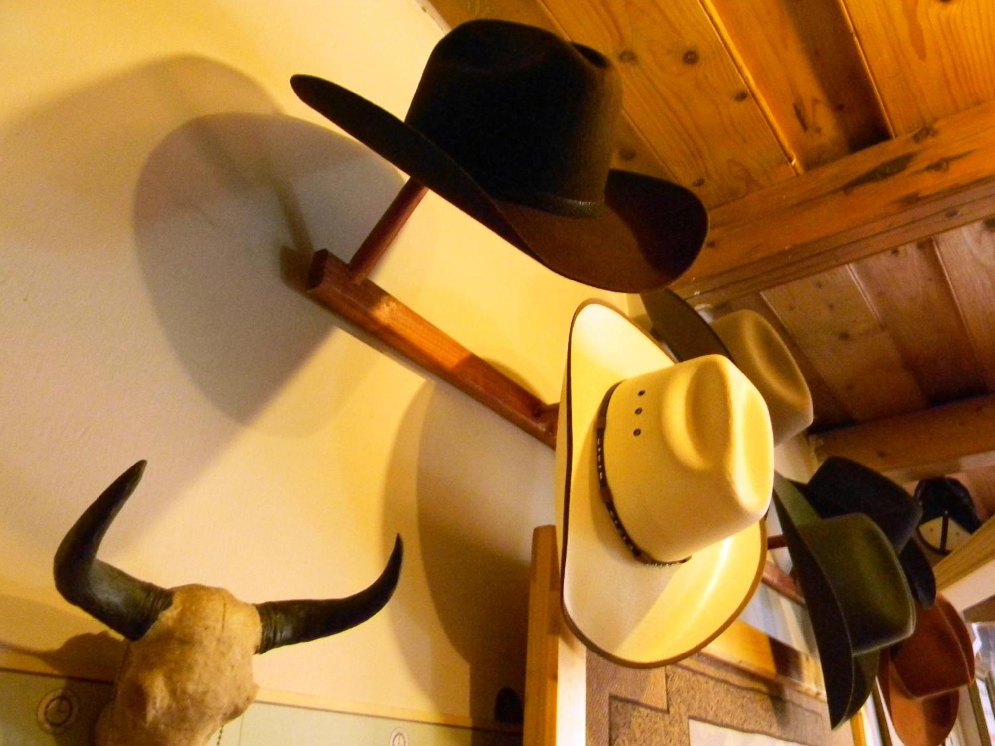 كلوج-نابوكا Transylvania Cowboy Cottage المظهر الخارجي الصورة