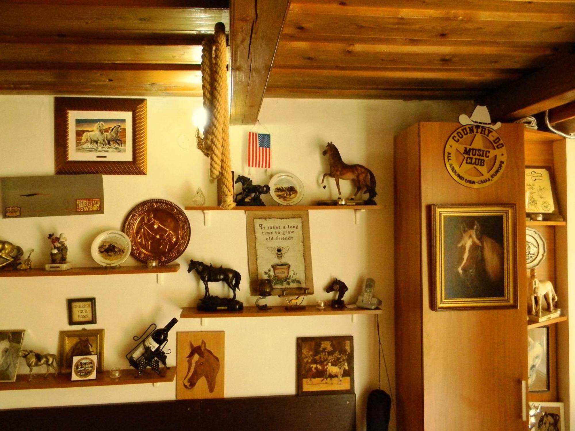 كلوج-نابوكا Transylvania Cowboy Cottage المظهر الخارجي الصورة